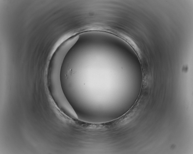 X0000097911146200803141413