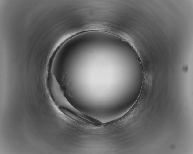 X0000097911147200803141413