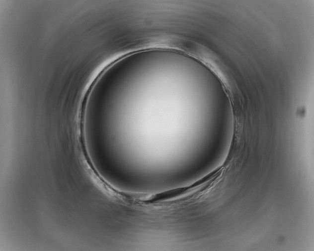 X0000097911148200803141413