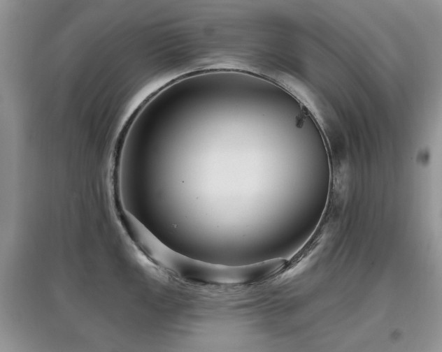 X0000097911149200803141413