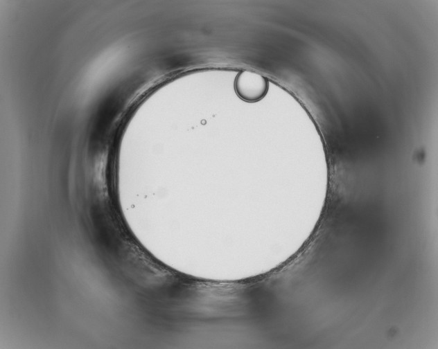 X0000097911150200803141413