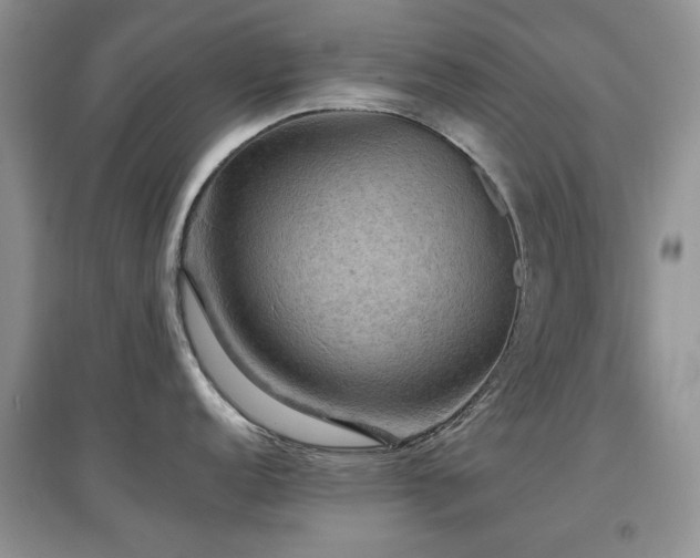 X0000097911152200803141413