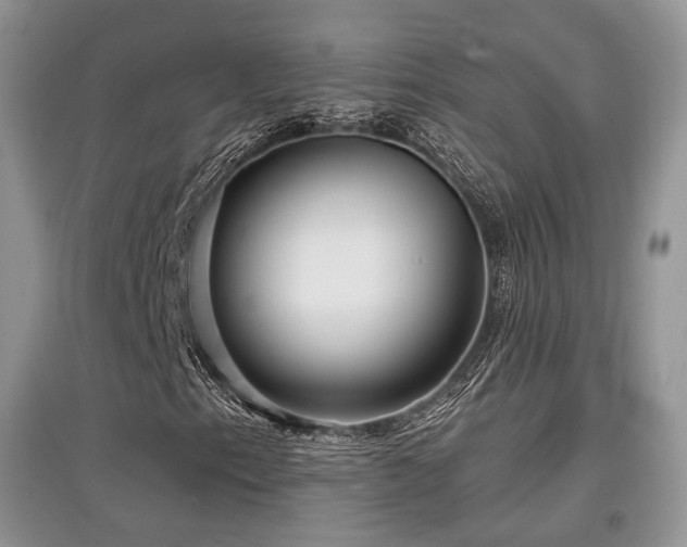 X0000097911153200803141412