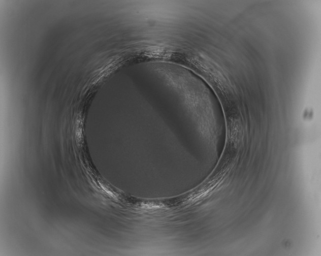 X0000097911154200803141412