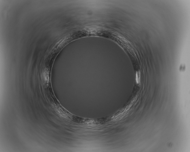 X0000097911155200803141412