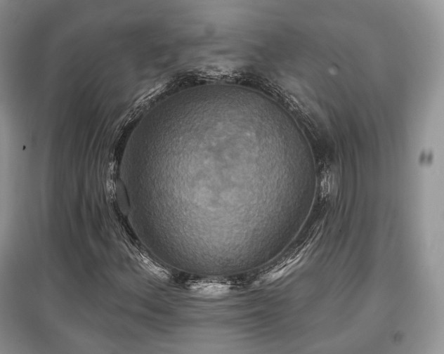 X0000097911156200803141412