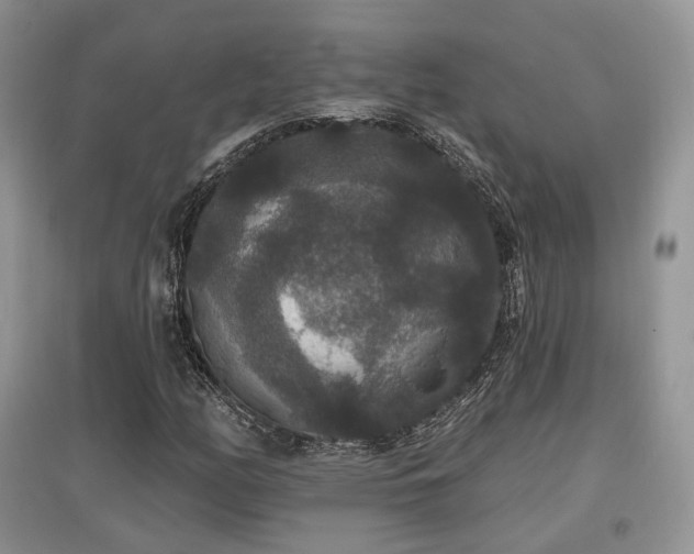 X0000097911158200803141412