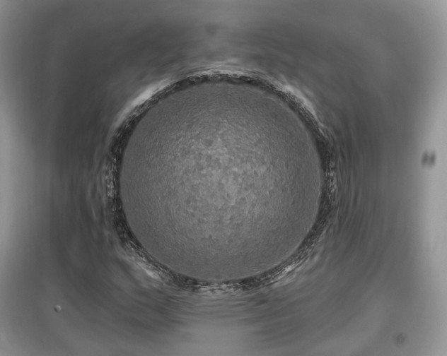 X0000097911159200803141412