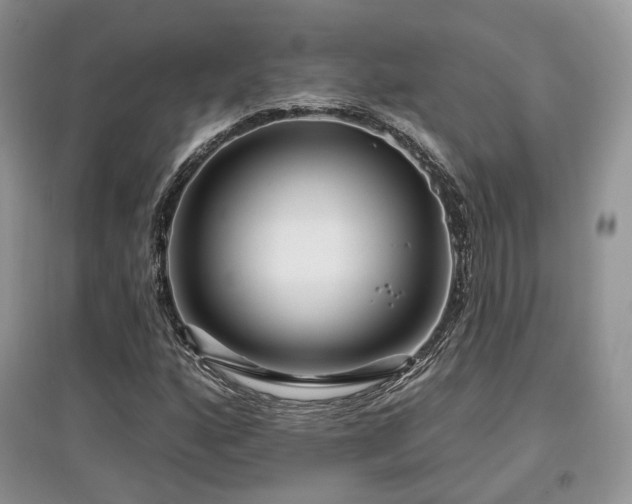 X0000097911160200803141412