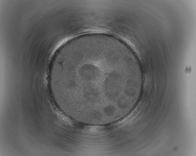 X0000097911163200803141412