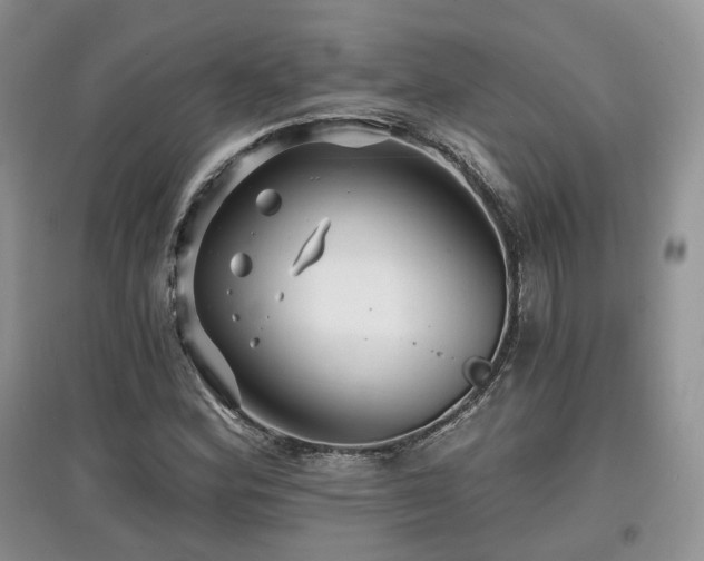 X0000097911164200803141412