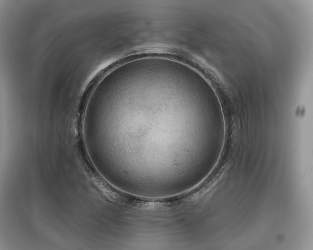 X0000097911166200803141412