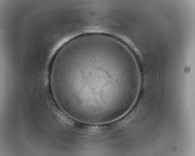 X0000097911167200803141412