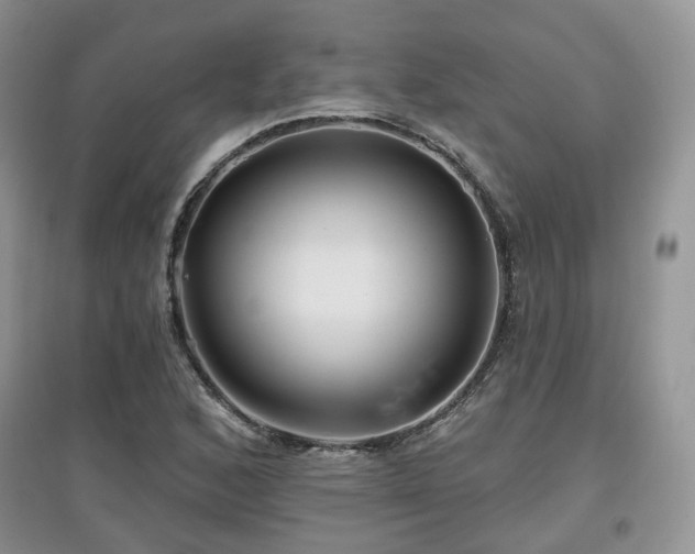 X0000097911168200803141412
