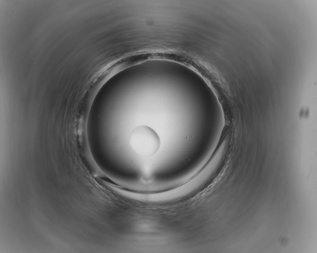 X0000097911169200803141412