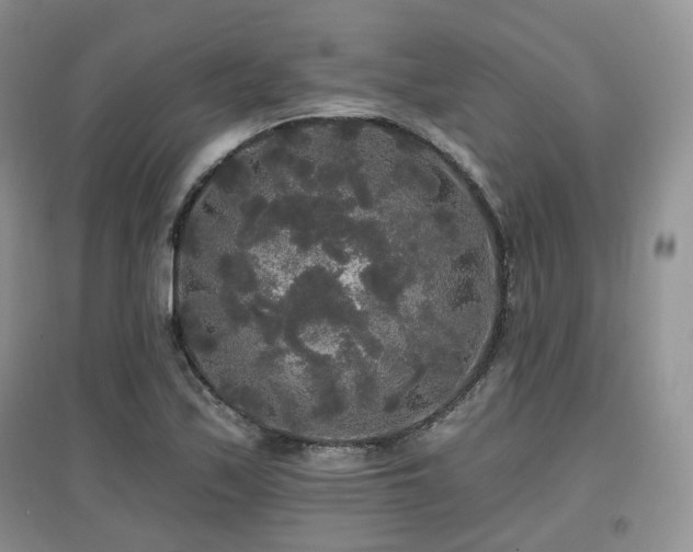 X0000097911171200803141412