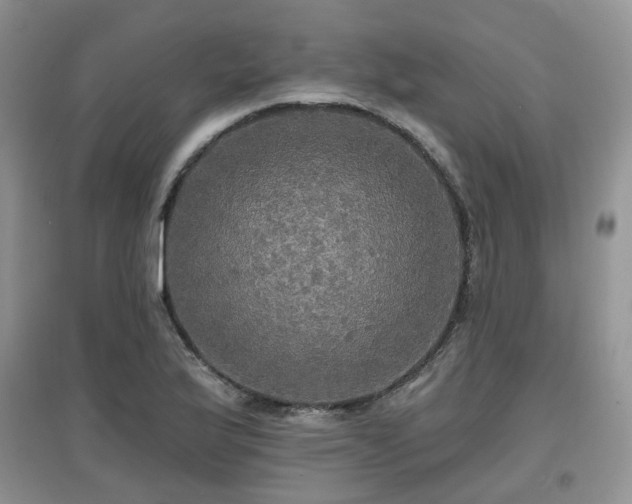 X0000097911175200803141412