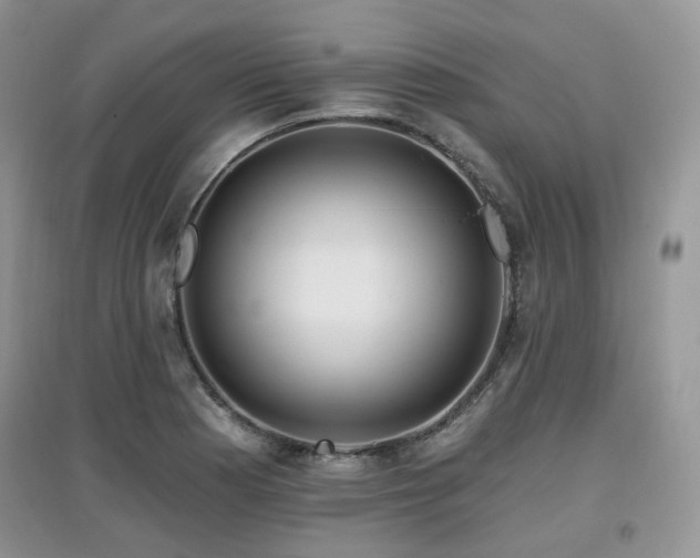 X0000097911177200803141412