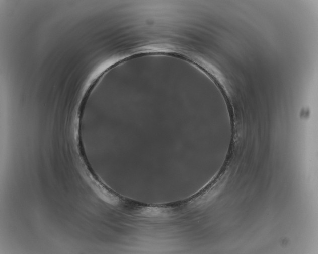 X0000097911179200803141412