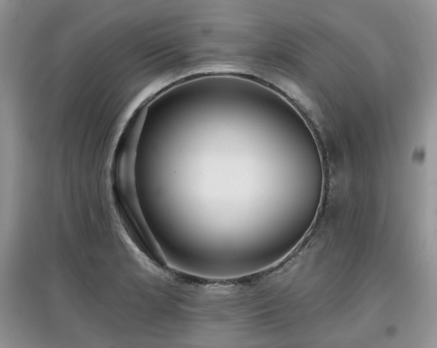 X0000097911181200803141411