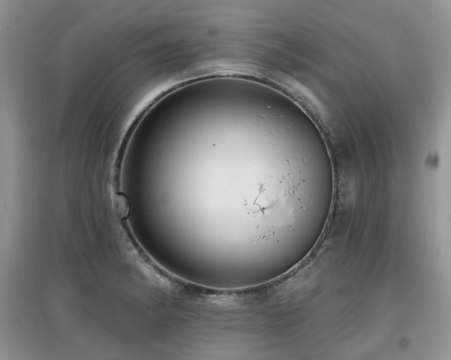 X0000097911182200803141411