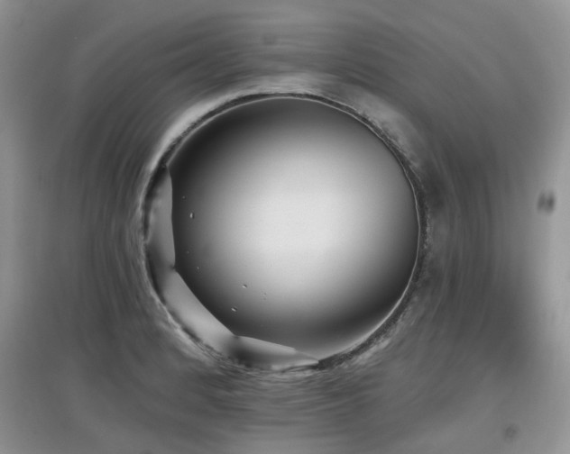 X0000097911184200803141411