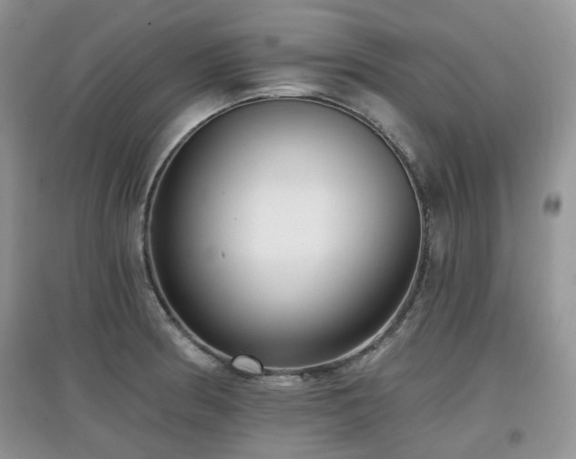 X0000097911186200803141411