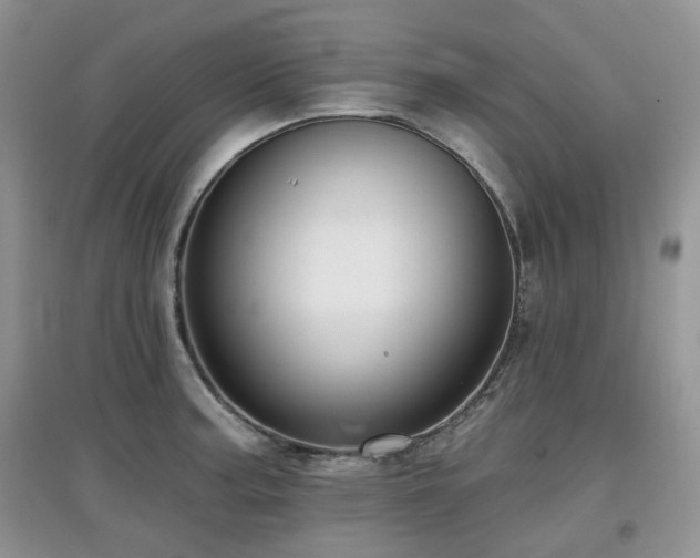 X0000097911187200803141411