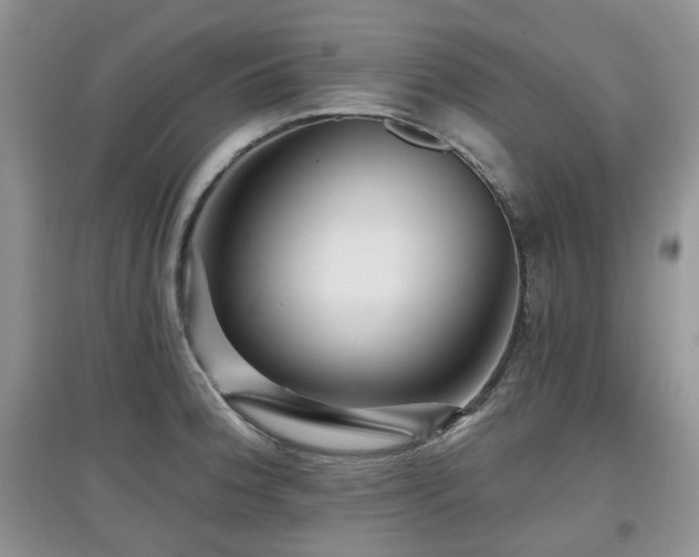X0000097911188200803141411