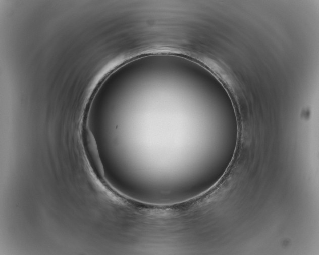 X0000097911189200803141411