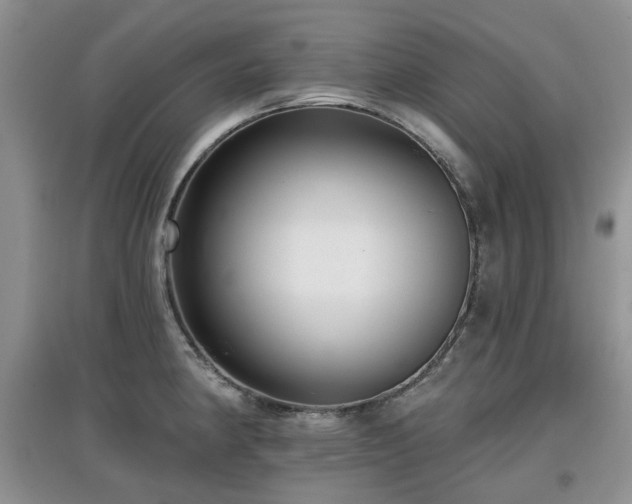 X0000097911190200803141411