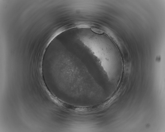 X0000097911194200803141411