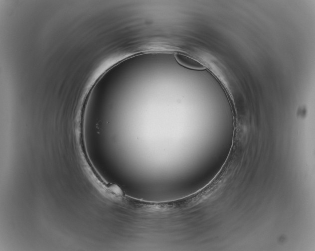 X0000097911195200803141411