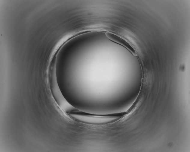 X0000097911196200803141411