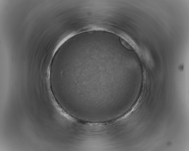 X0000097911198200803141411