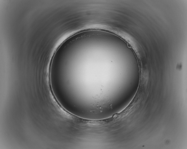 X0000097911199200803141411