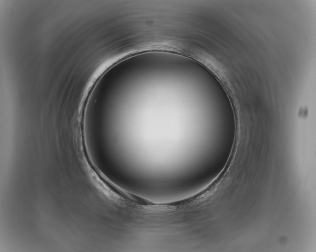 X0000097911200200803141411