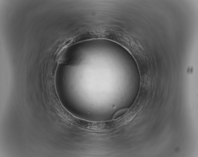 X0000097911201200803141410