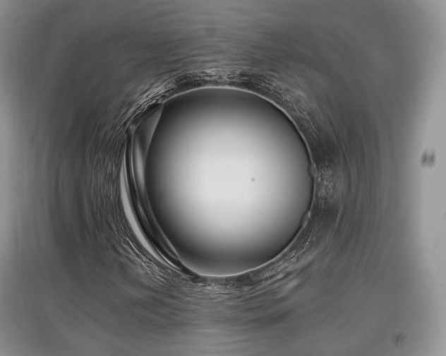X0000097911202200803141410