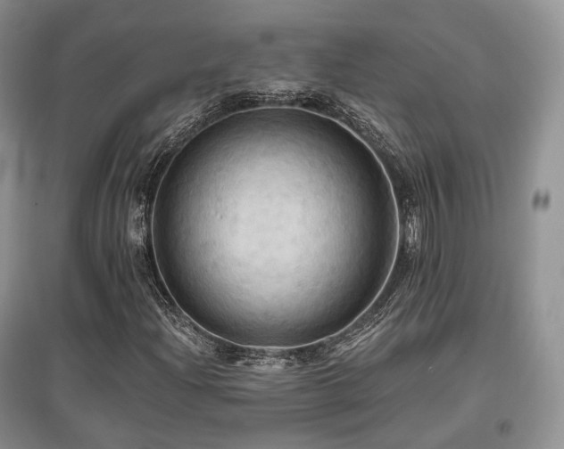X0000097911204200803141411