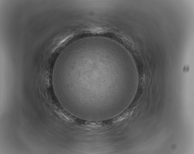 X0000097911205200803141411