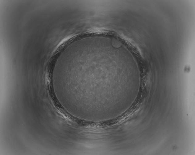 X0000097911206200803141411
