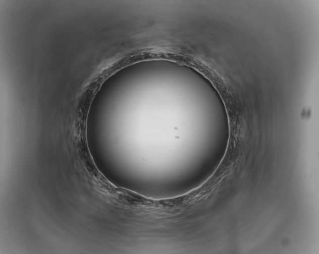 X0000097911207200803141411