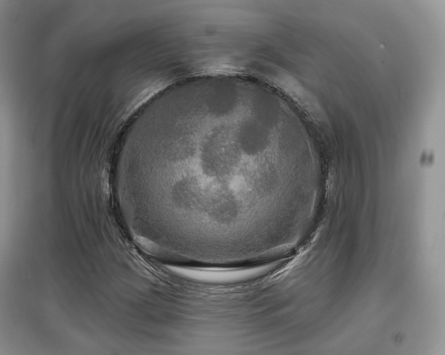 X0000097911209200803141411