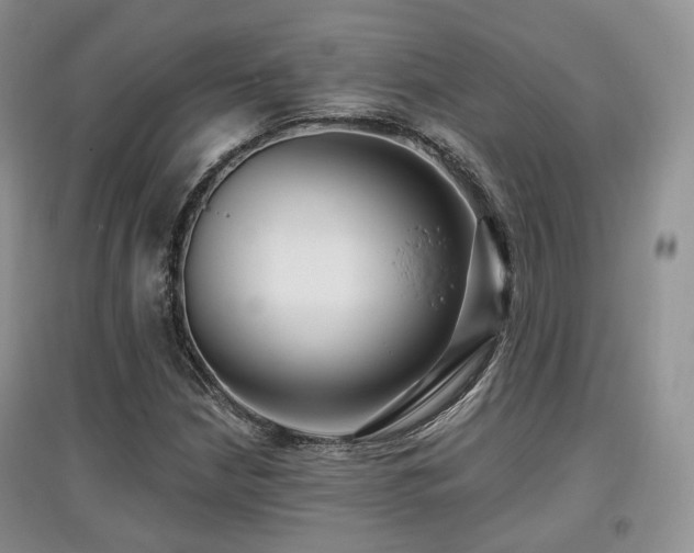 X0000097911210200803141411