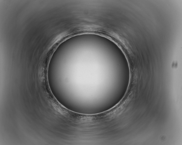 X0000097911211200803141411