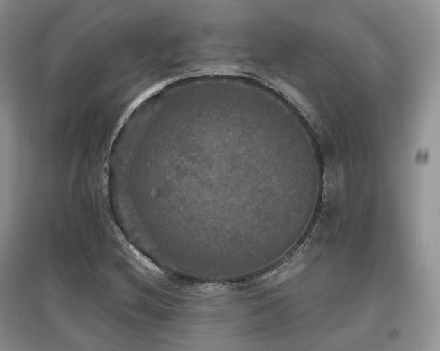 X0000097911212200803141411