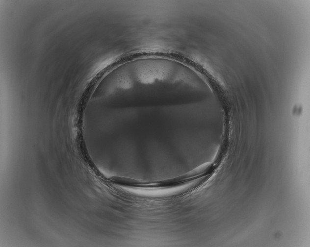 X0000097911213200803141411