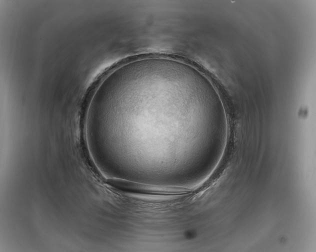 X0000097911214200803141411