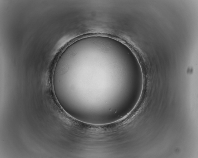 X0000097911215200803141411